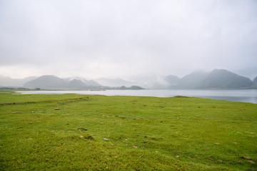 《狼王梦》的结局是什么