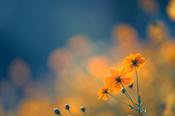 急求！~~~~~~~~~~~英文歌曲！~