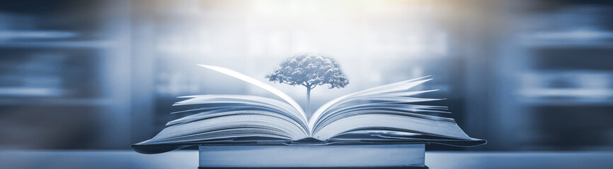 急求！~~~~~~~~~~~英文歌曲！~