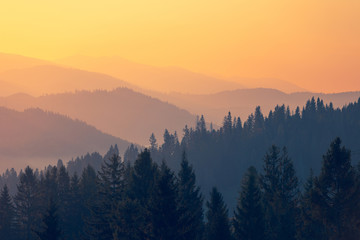 胆机与功放的区别-