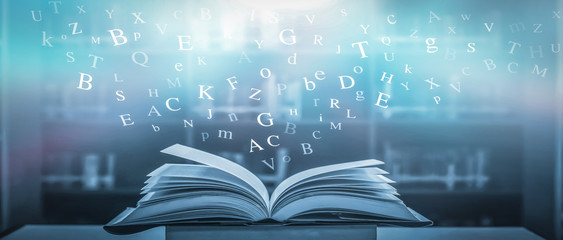 胆机与功放的区别-