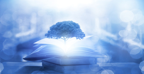 胚胎是怎样形成的