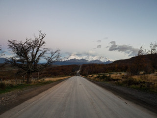 《狼王梦》的结局是什么