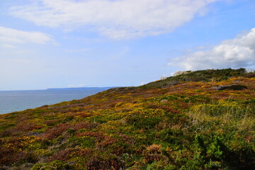 我拿青春去赌陪你熬过了苦是什么歌