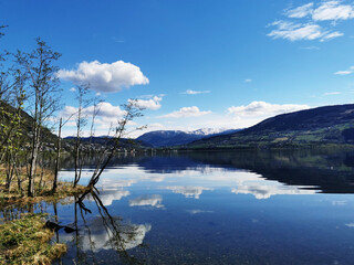 《只有一个地球》课文解析及答案