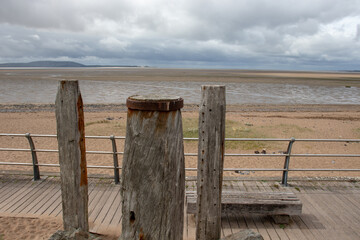 我拿青春去赌陪你熬过了苦是什么歌