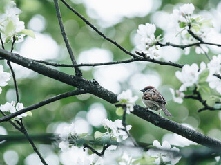 “龖、龘、纛、爨、灪、麤、彠”怎么读？