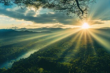 胚胎是怎样形成的