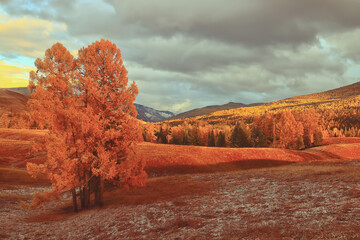 “龖、龘、纛、爨、灪、麤、彠”怎么读？