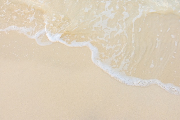 形容花的唯美短句