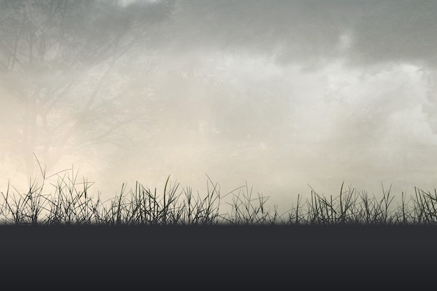 家里摆放的禁忌物品