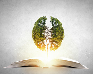 一年级的简单又漂亮禁毒手抄报 一年级的手抄报