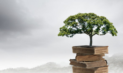 胆机与功放的区别-