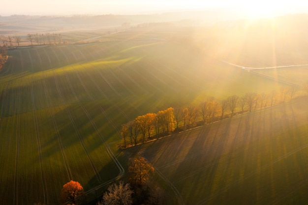 介绍一些经典的动漫作品